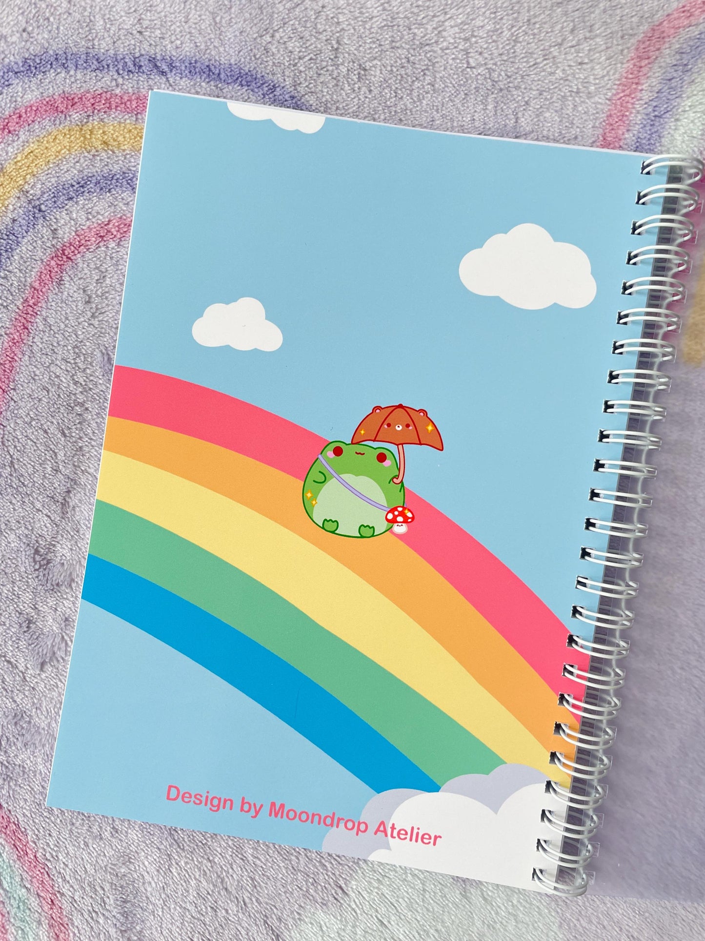 Rainbow Frog Sticker Album | Reusable Stickerbook | DIN A5