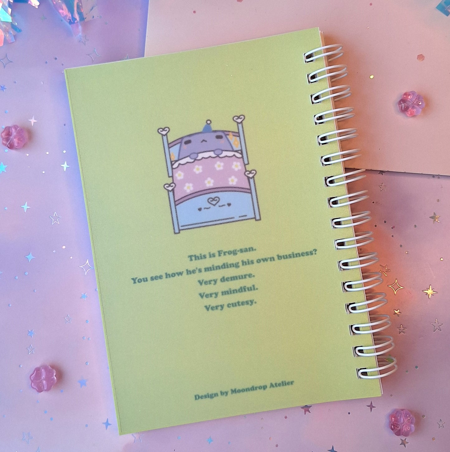 Frogcore Sticker Album | DIN A6